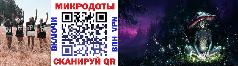 Псилоцибиновые грибы Psilocybine cubensis  Купить  Новоузенск 